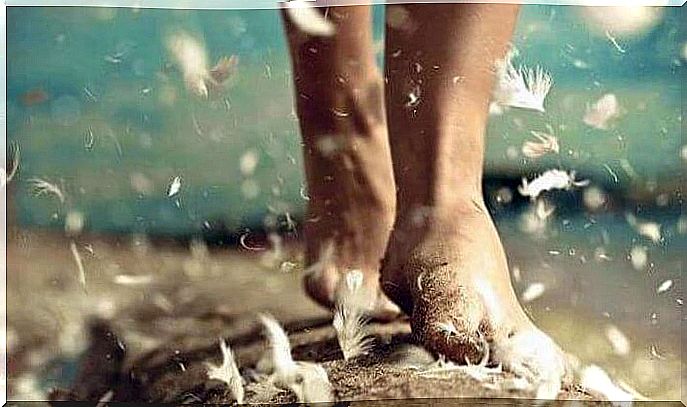 Feet walking on sand and feathers