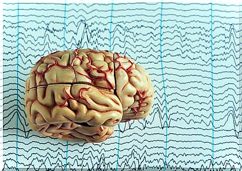 Brain with brain waves