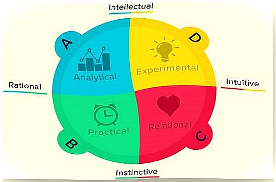 Brain dominance according to Herrmann's quadrants: which is yours?