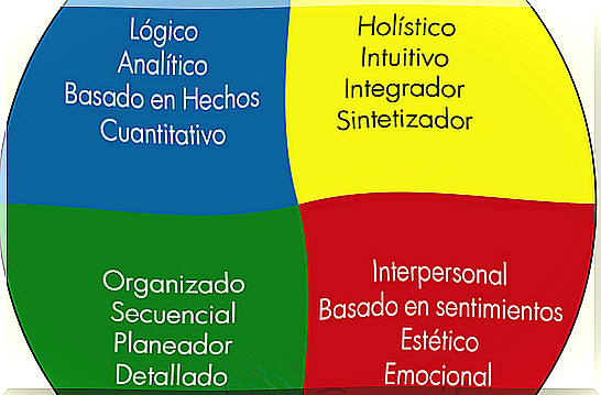 information boxes representing brain dominance