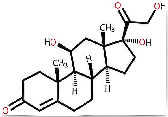 Chemical formula of cortisol