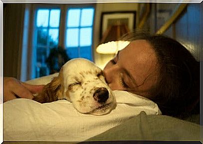 Does sleeping with our pets provide security and well-being?