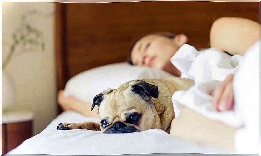 Girl with her dog representing sleeping with our pets