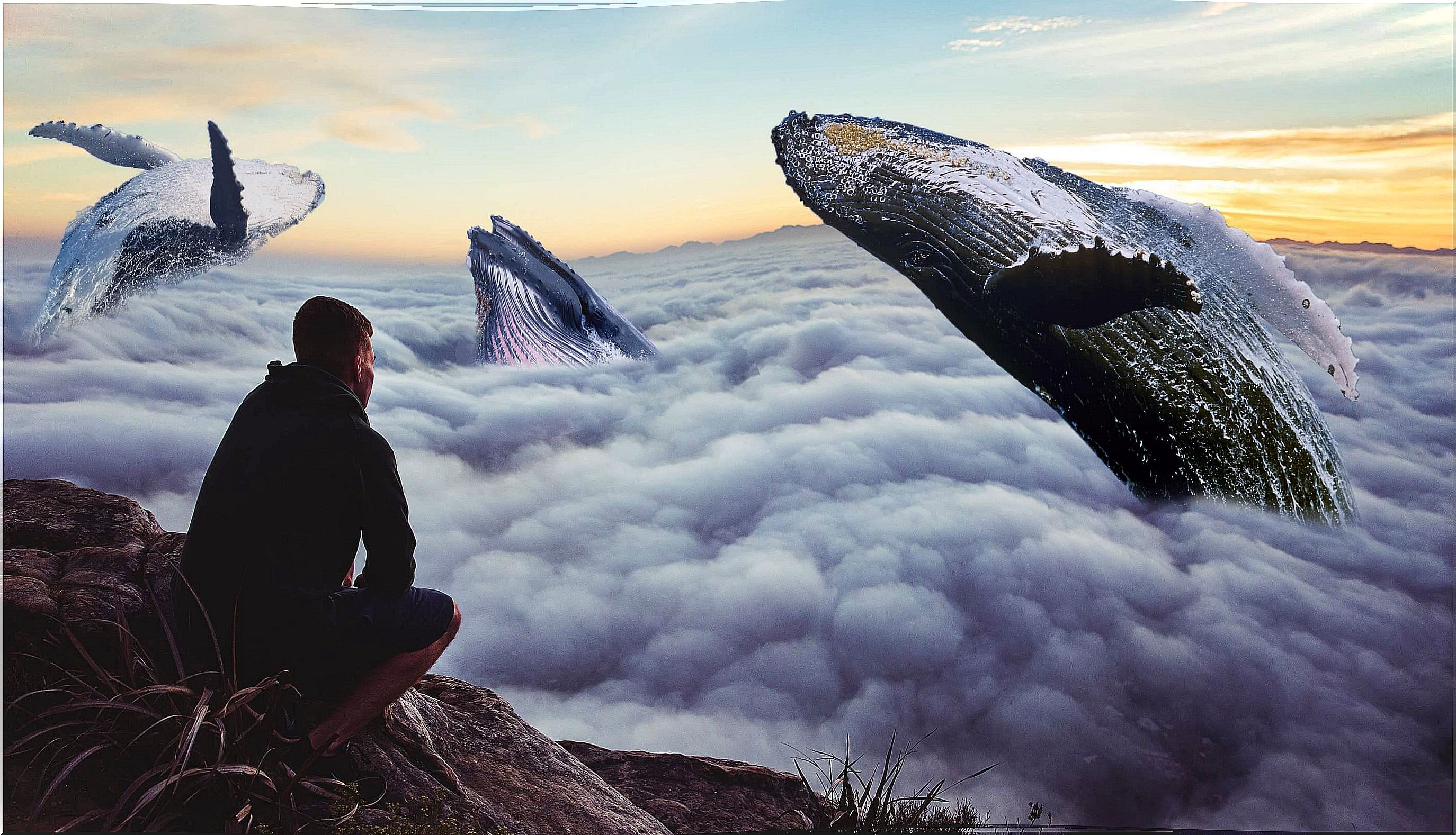 man looking at the sky with whales thinking about doing something that scares you