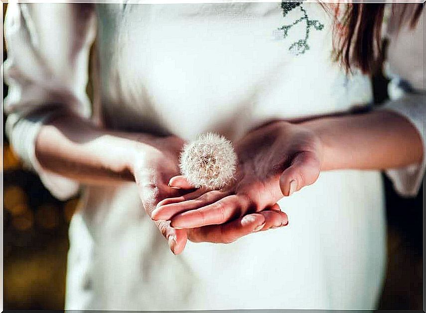 Hands of a woman with a dandelion