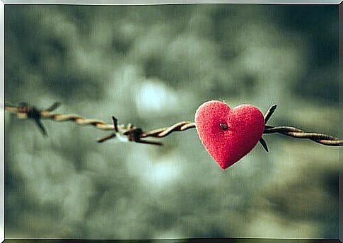 Hawthorn heart symbolizing the child who continues to suffer