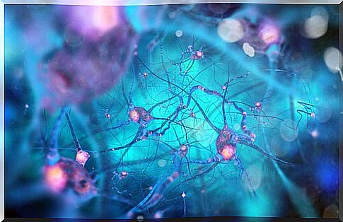 Rosehip neurons