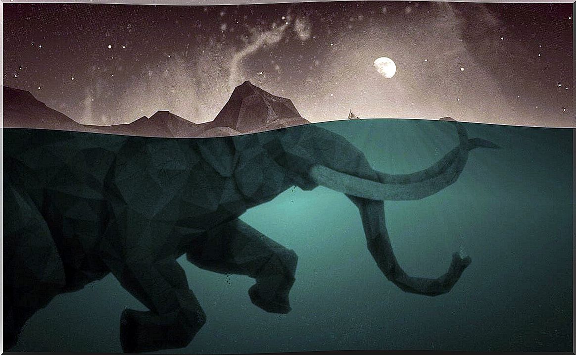 elephant under water