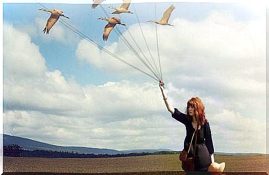 woman holding a kite in the shape of birds