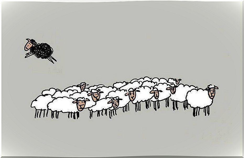 The black sheep is not bad: it is just different