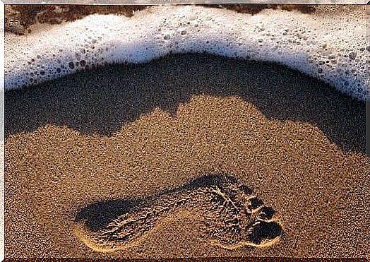 footprint in the sand