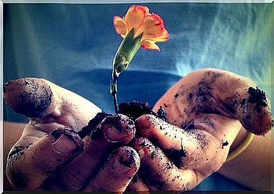 hands with flowers