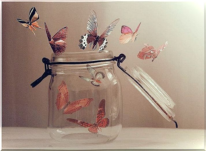 glass jar with butterflies coming out